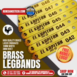 Renesance Brass Legbands